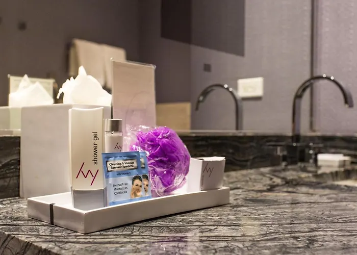 Ivy Boutique (adults Only) Hotel Chicago
