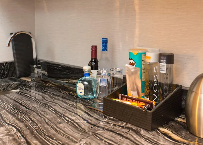 Hotel Ivy Boutique (adults Only) Chicago