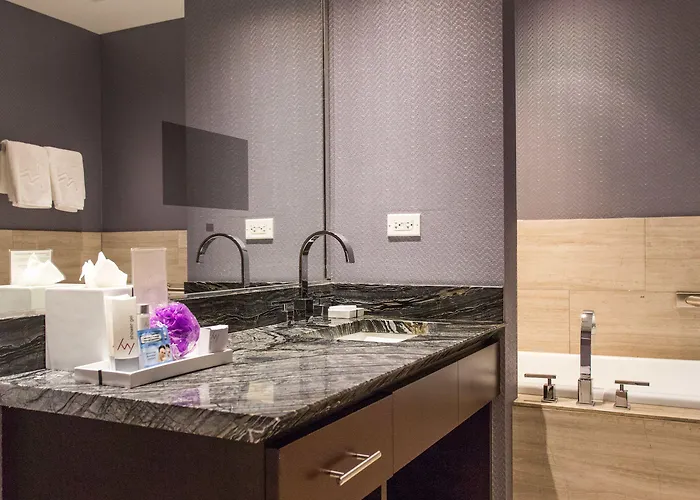 Ivy Boutique (adults Only) 4* Chicago