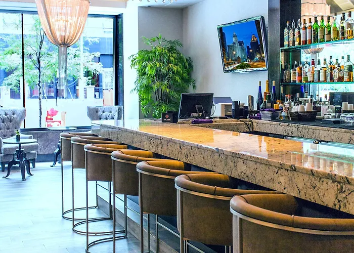 Ivy Boutique (adults Only) 4* Chicago