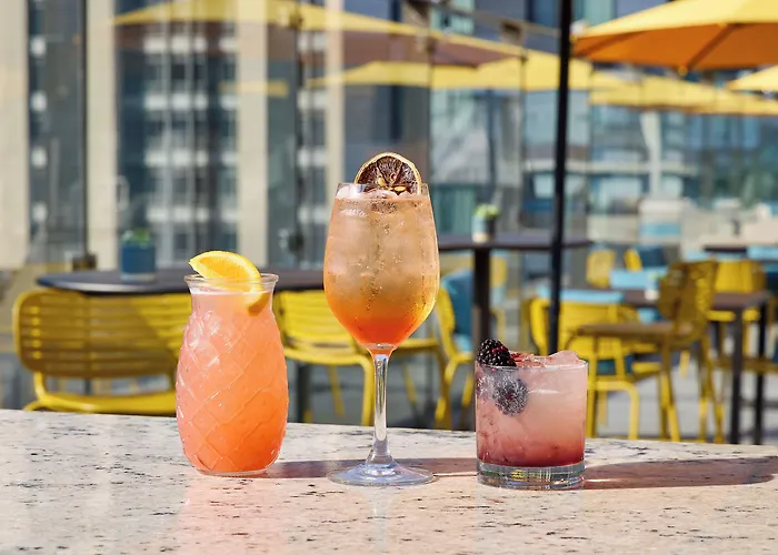 Ivy Boutique (adults Only) 4* Chicago