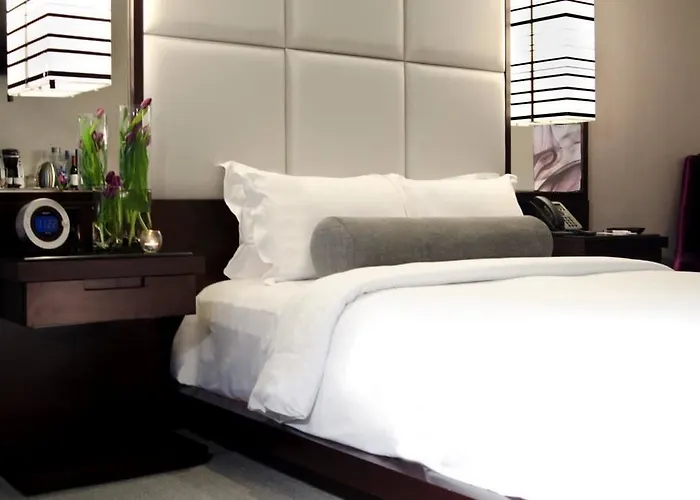 Ivy Boutique (adults Only) Hotel Chicago