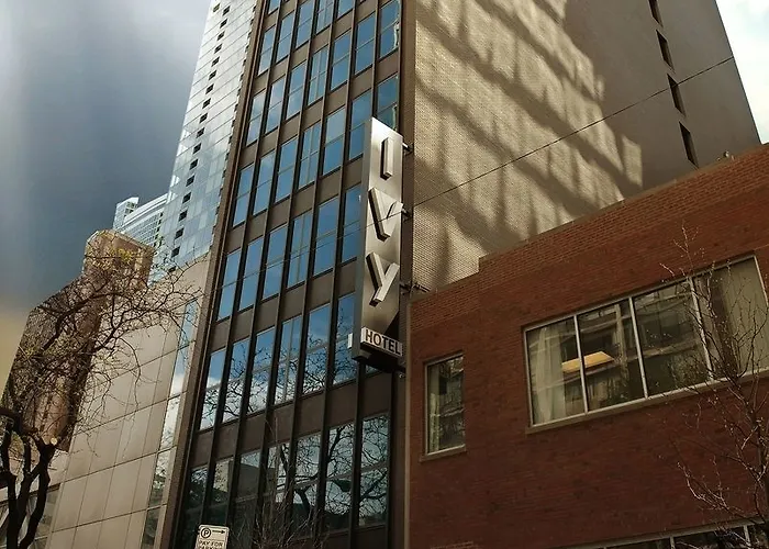 Ivy Boutique (adults Only) Chicago